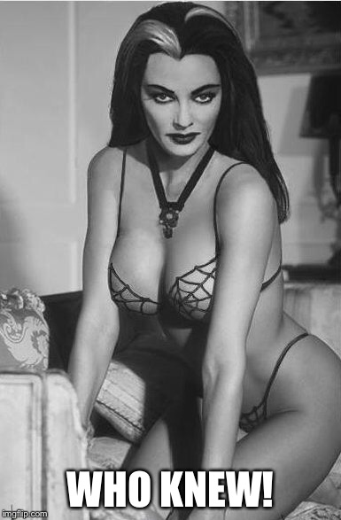 lily munster sexy | WHO KNEW! | image tagged in lily munster sexy | made w/ Imgflip meme maker