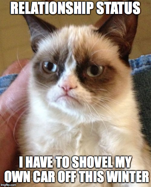Grumpy Cat Meme | RELATIONSHIP STATUS; I HAVE TO SHOVEL MY OWN CAR OFF THIS WINTER | image tagged in memes,grumpy cat | made w/ Imgflip meme maker