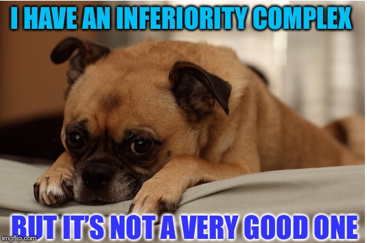 I HAVE AN INFERIORITY COMPLEX; BUT IT’S NOT A VERY GOOD ONE | image tagged in complex | made w/ Imgflip meme maker