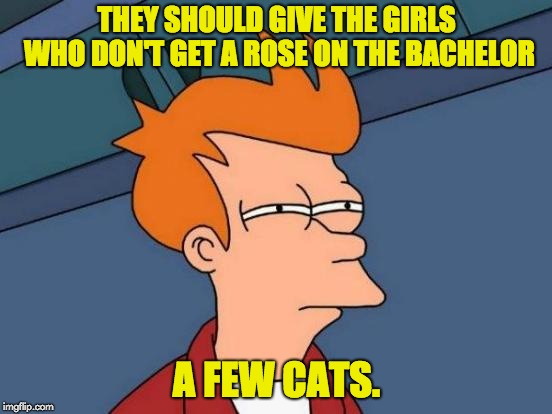 Futurama Fry | THEY SHOULD GIVE THE GIRLS WHO DON'T GET A ROSE ON THE BACHELOR; A FEW CATS. | image tagged in memes,futurama fry | made w/ Imgflip meme maker
