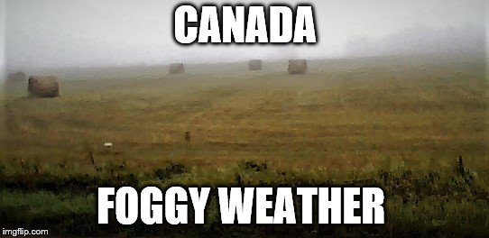 foggy morning | CANADA; FOGGY WEATHER | image tagged in canada,foggy,fog,another day in canada | made w/ Imgflip meme maker