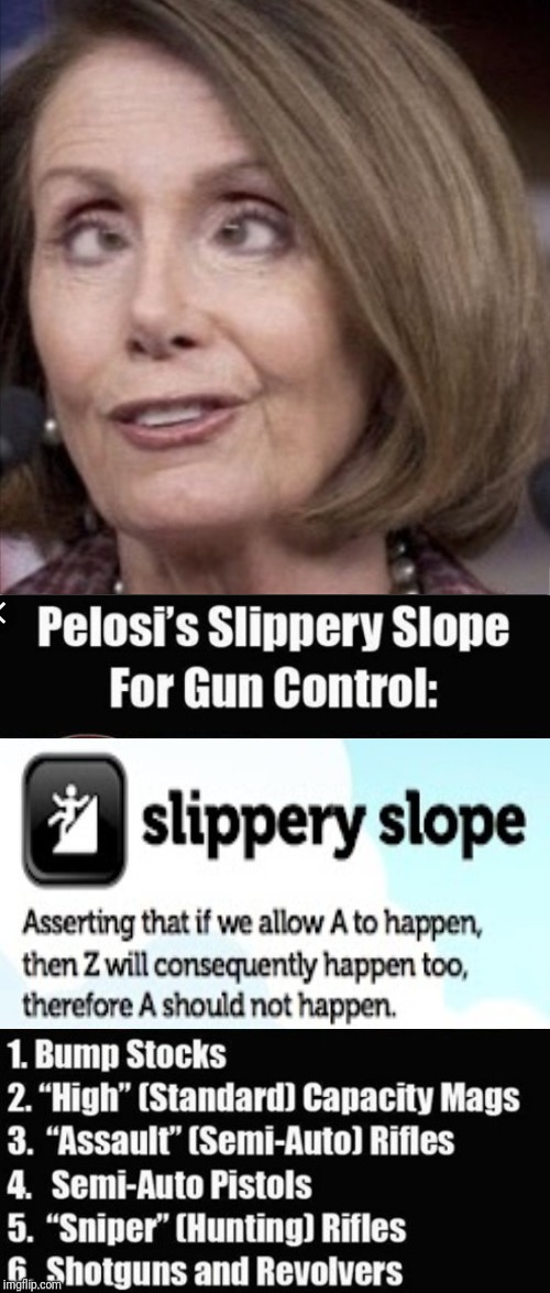 Pelosi's Logic | image tagged in nancy pelosi,gun control,slippery,right to bear arms,liberal logic | made w/ Imgflip meme maker