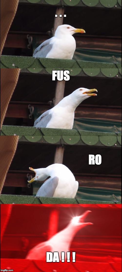 Inhaling Seagull | . . . FUS; RO; DA ! ! ! | image tagged in memes,inhaling seagull | made w/ Imgflip meme maker
