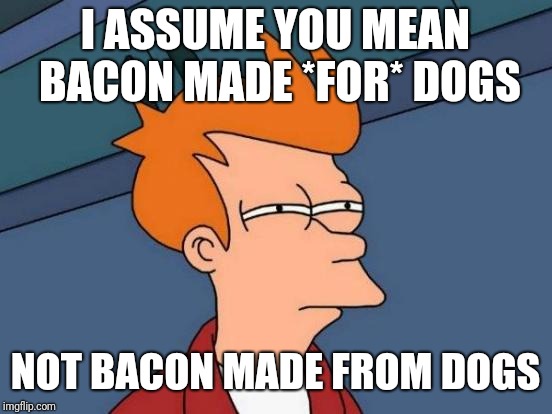 I ASSUME YOU MEAN BACON MADE *FOR* DOGS NOT BACON MADE FROM DOGS | image tagged in memes,futurama fry | made w/ Imgflip meme maker