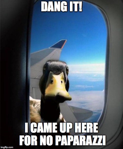 Duck on plane wing | DANG IT! I CAME UP HERE FOR NO PAPARAZZI | image tagged in duck on plane wing | made w/ Imgflip meme maker