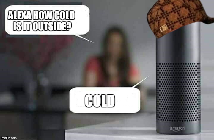 Alexa do X | ALEXA HOW COLD IS IT OUTSIDE? COLD | image tagged in alexa do x,scumbag,captain obvious | made w/ Imgflip meme maker