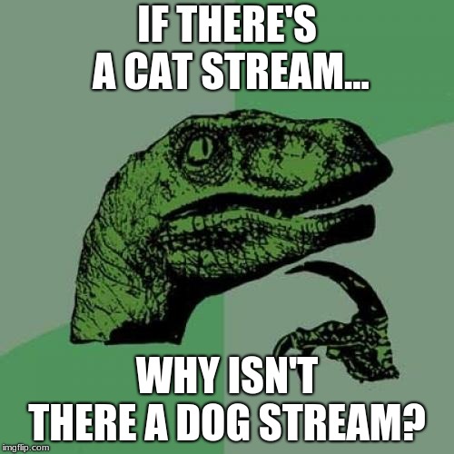 Where's the dogs stream at??  Philosoraptor meme week Nov. 16 - 23 (A Bloopmaster7 and Bluesoldier event!) | IF THERE'S A CAT STREAM... WHY ISN'T THERE A DOG STREAM? | image tagged in memes,philosoraptor,bloopmaster7,bluesoldier,philosoraptor meme week | made w/ Imgflip meme maker