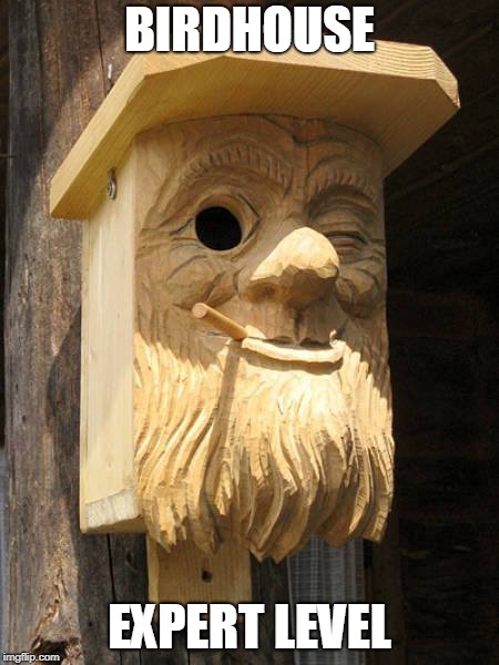cool birdhouse | BIRDHOUSE; EXPERT LEVEL | image tagged in cool birdhouse | made w/ Imgflip meme maker