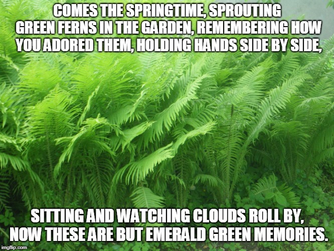 Emerald Green Memories | COMES THE SPRINGTIME, SPROUTING GREEN FERNS IN THE GARDEN, REMEMBERING HOW YOU ADORED THEM, HOLDING HANDS SIDE BY SIDE, SITTING AND WATCHING CLOUDS ROLL BY, NOW THESE ARE BUT EMERALD GREEN MEMORIES. | image tagged in spring,memories,gardens,ferms | made w/ Imgflip meme maker