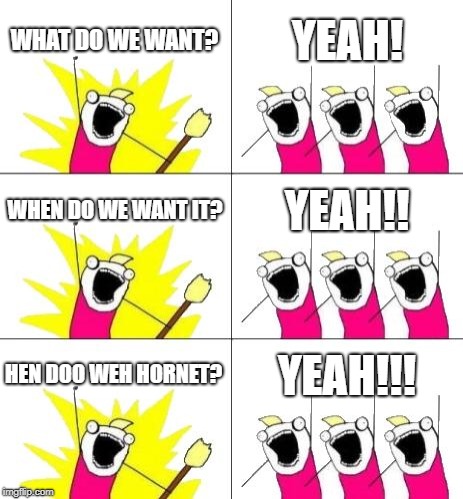 What Do We Want 3 | WHAT DO WE WANT? YEAH! WHEN DO WE WANT IT? YEAH!! HEN DOO WEH HORNET? YEAH!!! | image tagged in memes,what do we want 3 | made w/ Imgflip meme maker