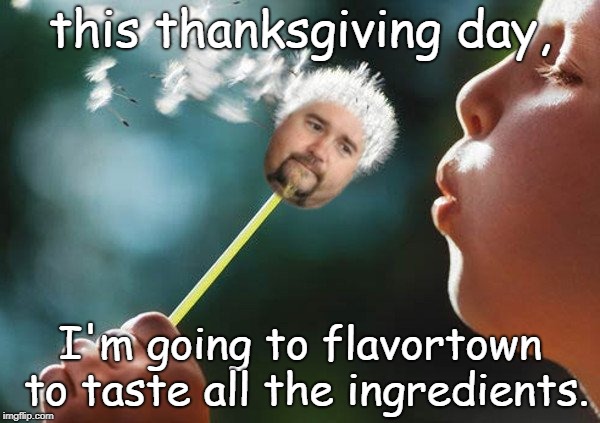 guy fie-etty will be in flavortown for thanksgiving day.just taste all those ingredients.yum ! | this thanksgiving day, I'm going to flavortown to taste all the ingredients. | image tagged in guy fieri,flavor town,the cranberries | made w/ Imgflip meme maker