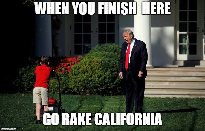 2mrpgi.jpg