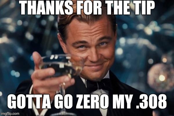Leonardo Dicaprio Cheers Meme | THANKS FOR THE TIP GOTTA GO ZERO MY .308 | image tagged in memes,leonardo dicaprio cheers | made w/ Imgflip meme maker