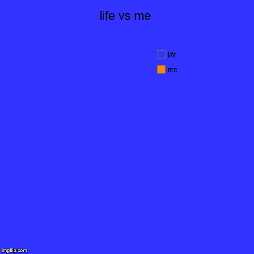 life vs me | me, life | image tagged in funny,pie charts | made w/ Imgflip chart maker