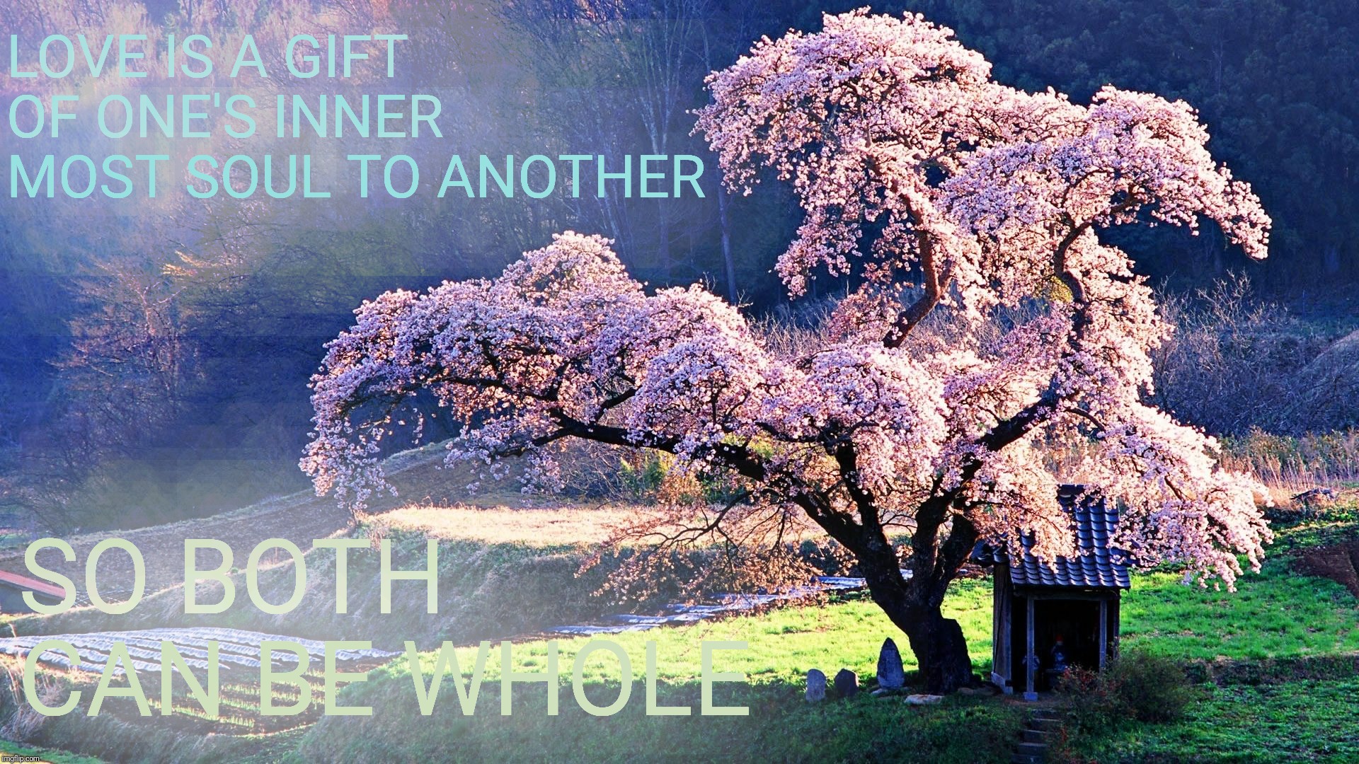 LOVE IS A GIFT OF ONE'S INNER MOST SOUL TO ANOTHER SO BOTH CAN BE WHOLE | made w/ Imgflip meme maker