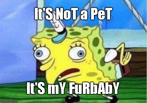 Mocking Spongebob Meme | It'S NoT a PeT; It'S mY FuRbAbY | image tagged in memes,mocking spongebob,annoying,furbaby,stfu | made w/ Imgflip meme maker