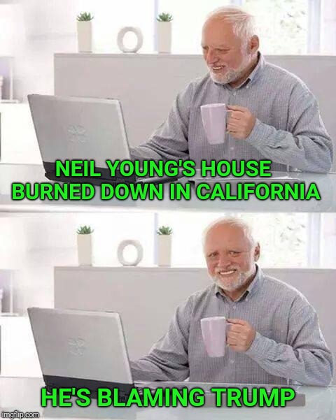 Hide the Pain Harold Meme | NEIL YOUNG'S HOUSE BURNED DOWN IN CALIFORNIA; HE'S BLAMING TRUMP | image tagged in memes,hide the pain harold | made w/ Imgflip meme maker