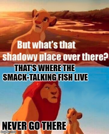 THAT'S WHERE THE SMACK-TALKING FISH LIVE NEVER GO THERE | made w/ Imgflip meme maker