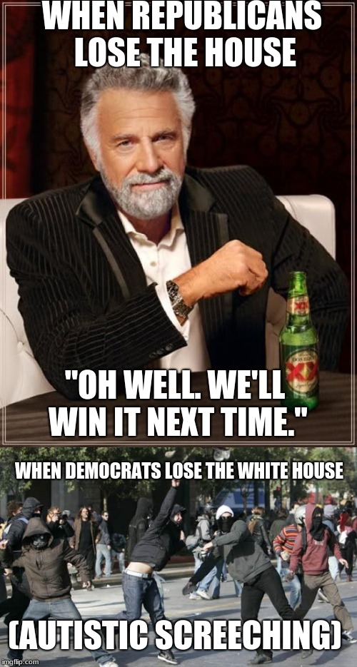 WHEN REPUBLICANS LOSE THE HOUSE; "OH WELL. WE'LL WIN IT NEXT TIME."; WHEN DEMOCRATS LOSE THE WHITE HOUSE; (AUTISTIC SCREECHING) | image tagged in liberal vs conservative | made w/ Imgflip meme maker