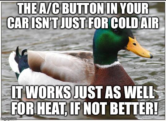 Actual Advice Mallard | THE A/C BUTTON IN YOUR CAR ISN’T JUST FOR COLD AIR; IT WORKS JUST AS WELL FOR HEAT, IF NOT BETTER! | image tagged in memes,actual advice mallard | made w/ Imgflip meme maker