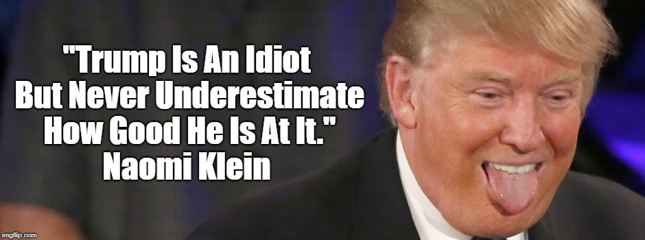 "Trump Is An Idiot But..." | "Trump Is An Idiot But Never Underestimate How Good He Is At It." Naomi Klein | image tagged in trump,deplorable donald,despicable donald,devious donald,dishonorable donald,deranged donald | made w/ Imgflip meme maker