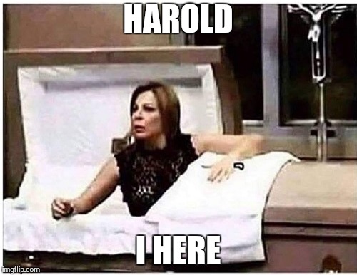 HAROLD I HERE | made w/ Imgflip meme maker