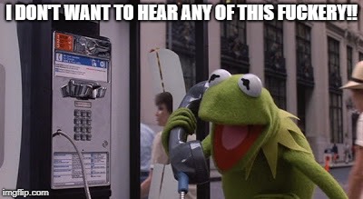Kermit Fuckery | I DON'T WANT TO HEAR ANY OF THIS F**KERY!! | image tagged in kermit fuckery | made w/ Imgflip meme maker