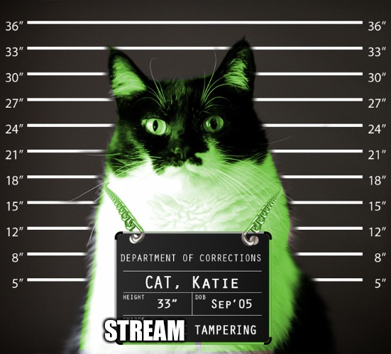 RayCat Incarcerated | STREAM | image tagged in raycat incarcerated | made w/ Imgflip meme maker