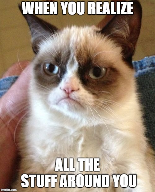 Grumpy Cat | WHEN YOU REALIZE; ALL THE STUFF AROUND YOU | image tagged in memes,grumpy cat | made w/ Imgflip meme maker