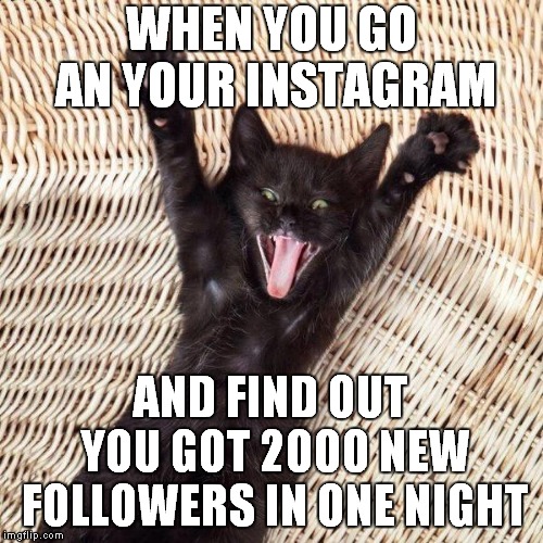 Happy cat  | WHEN YOU GO AN YOUR INSTAGRAM; AND FIND OUT YOU GOT 2000 NEW FOLLOWERS IN ONE NIGHT | image tagged in happy cat | made w/ Imgflip meme maker