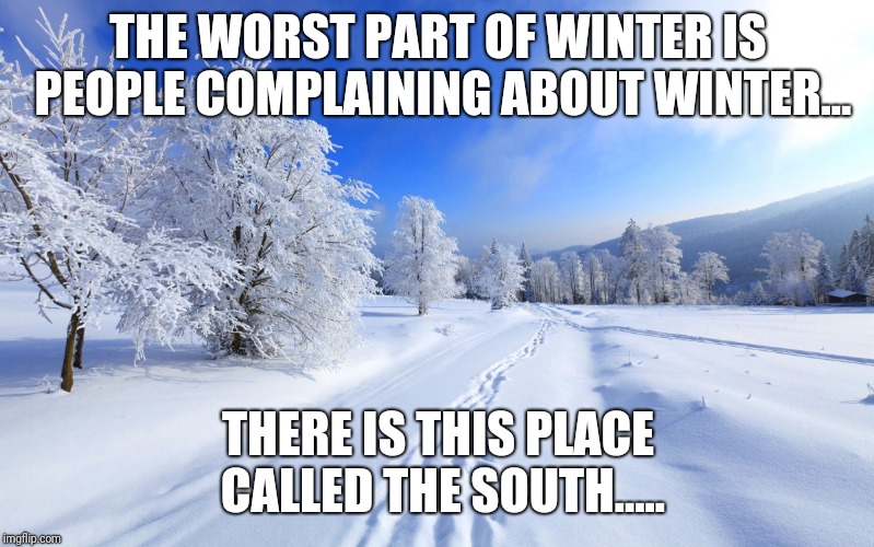 Winter | THE WORST PART OF WINTER IS PEOPLE COMPLAINING ABOUT WINTER... THERE IS THIS PLACE CALLED THE SOUTH..... | image tagged in winter | made w/ Imgflip meme maker
