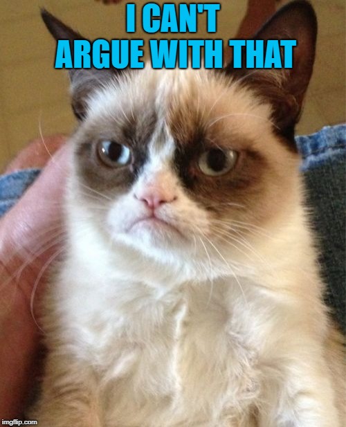 Grumpy Cat Meme | I CAN'T ARGUE WITH THAT | image tagged in memes,grumpy cat | made w/ Imgflip meme maker