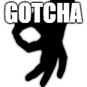 GOTCHA | image tagged in gotcha,i actually got you,look at my other memes | made w/ Imgflip meme maker