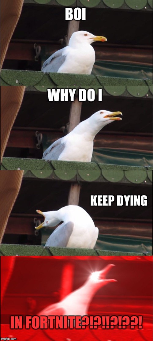 Inhaling Seagull | BOI; WHY DO I; KEEP DYING; IN FORTNITE?!?!!?!??! | image tagged in memes,inhaling seagull | made w/ Imgflip meme maker