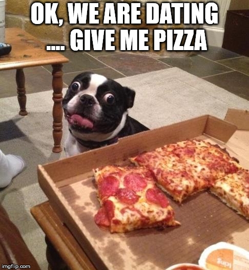 Hungry Pizza Dog | OK, WE ARE DATING .... GIVE ME PIZZA | image tagged in hungry pizza dog | made w/ Imgflip meme maker