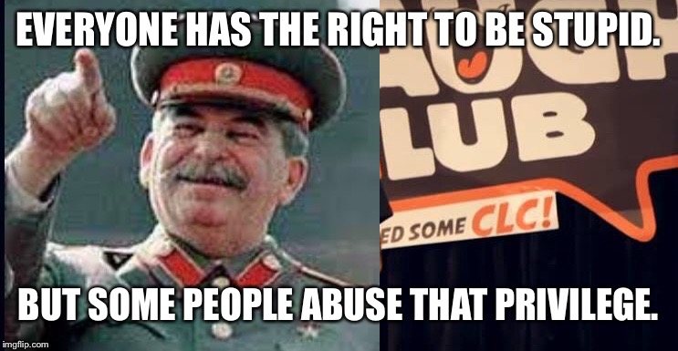 Stand Up Stalin | EVERYONE HAS THE RIGHT TO BE STUPID. BUT SOME PEOPLE ABUSE THAT PRIVILEGE. | image tagged in stand up stalin | made w/ Imgflip meme maker