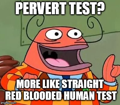 More like belongs in the trash | PERVERT TEST? MORE LIKE STRAIGHT RED BLOODED HUMAN TEST | image tagged in more like belongs in the trash | made w/ Imgflip meme maker