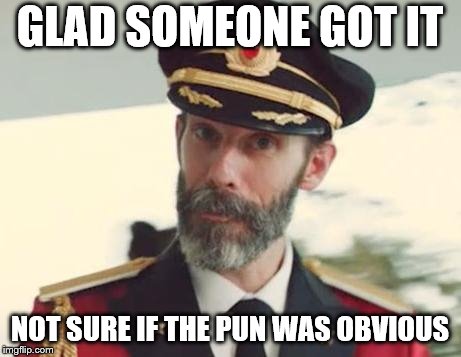 Captain Obvious | GLAD SOMEONE GOT IT NOT SURE IF THE PUN WAS OBVIOUS | image tagged in captain obvious | made w/ Imgflip meme maker