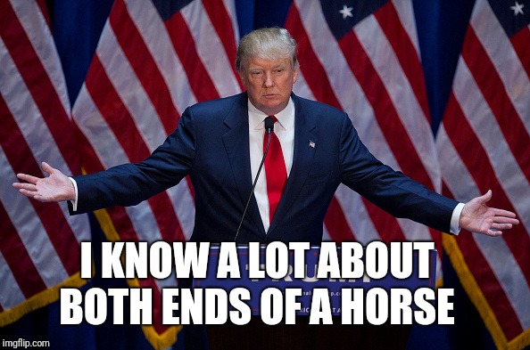 Donald Trump | I KNOW A LOT ABOUT BOTH ENDS OF A HORSE | image tagged in donald trump | made w/ Imgflip meme maker