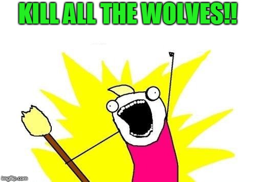 X All The Y Meme | KILL ALL THE WOLVES!! | image tagged in memes,x all the y | made w/ Imgflip meme maker