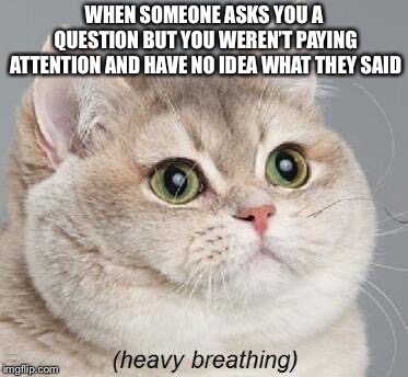Heavy breathing cat  | WHEN SOMEONE ASKS YOU A QUESTION BUT YOU WEREN’T PAYING ATTENTION AND HAVE NO IDEA WHAT THEY SAID | image tagged in memes,heavy breathing cat | made w/ Imgflip meme maker