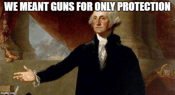 george washington | WE MEANT GUNS FOR ONLY PROTECTION | image tagged in george washington | made w/ Imgflip meme maker