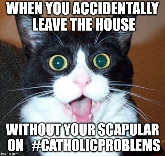 Surprised Cat Face | WHEN YOU ACCIDENTALLY LEAVE THE HOUSE; WITHOUT YOUR SCAPULAR ON   #CATHOLICPROBLEMS | image tagged in surprised cat face | made w/ Imgflip meme maker