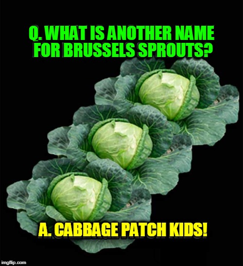 Bad Vegetable Jokes #1 | Q. WHAT IS ANOTHER NAME FOR BRUSSELS SPROUTS? A. CABBAGE PATCH KIDS! | image tagged in vince vance,cabbage,vegetables,brussels sprouts,cabbage patch kids,riddle | made w/ Imgflip meme maker
