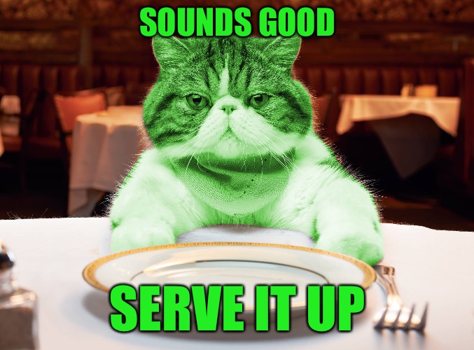RayCat Hungry | SOUNDS GOOD SERVE IT UP | image tagged in raycat hungry | made w/ Imgflip meme maker