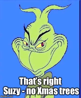 Good Grinch | That’s right Suzy - no Xmas trees | image tagged in good grinch | made w/ Imgflip meme maker