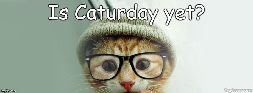 Is Caturday yet? | image tagged in cat with hat and glasses | made w/ Imgflip meme maker