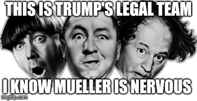 Memes | THIS IS TRUMP'S LEGAL TEAM; I KNOW MUELLER IS NERVOUS | image tagged in donald trump | made w/ Imgflip meme maker