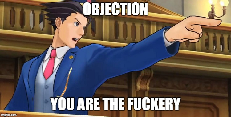 Objection2016 | OBJECTION YOU ARE THE F**KERY | image tagged in objection2016 | made w/ Imgflip meme maker