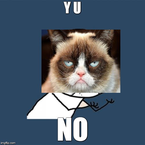 Y U November | Y U; NO | image tagged in memes,y u no,y u november,grumpy cat,grumpy cat not amused | made w/ Imgflip meme maker